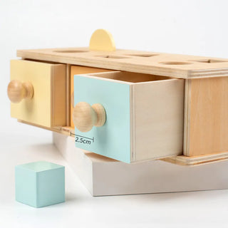 Montessori Object Permanence Hammer Box - RYAN AND REMI